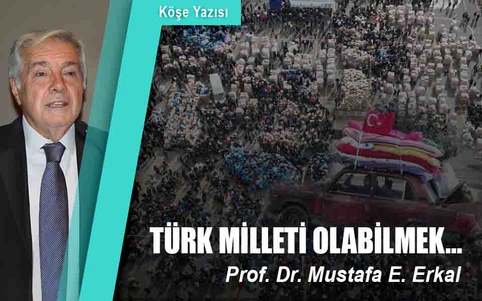 433756türk milleti olabilmek düşük kalite.jpg